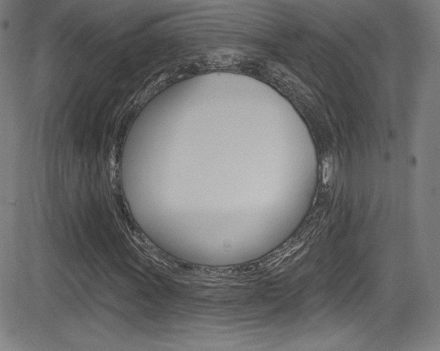 X0000083071011200702021005