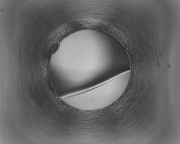 X0000083071012200702021005