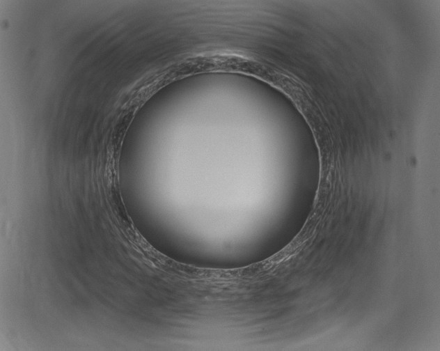 X0000083071014200702021005