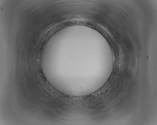 X0000083071015200702021005