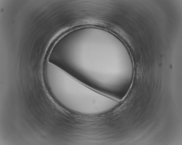 X0000083071024200702021005