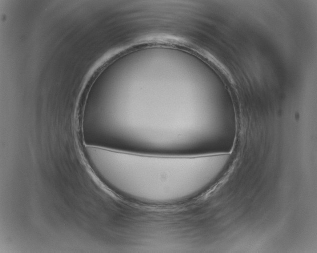 X0000083071037200702021006