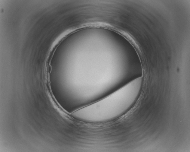 X0000083071046200702021006