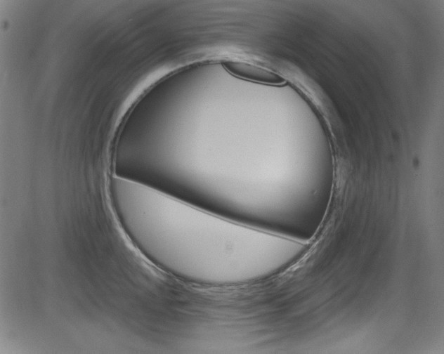 X0000083071048200702021006