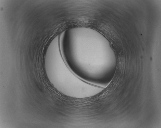 X0000083071057200702021005