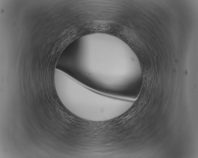 X0000083071058200702021005