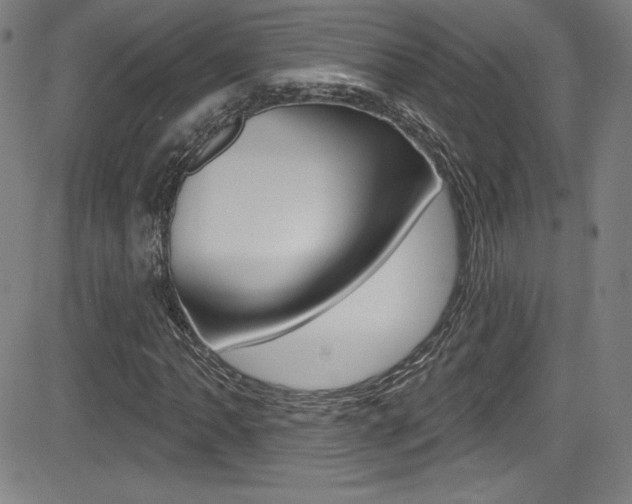 X0000083071062200702021005