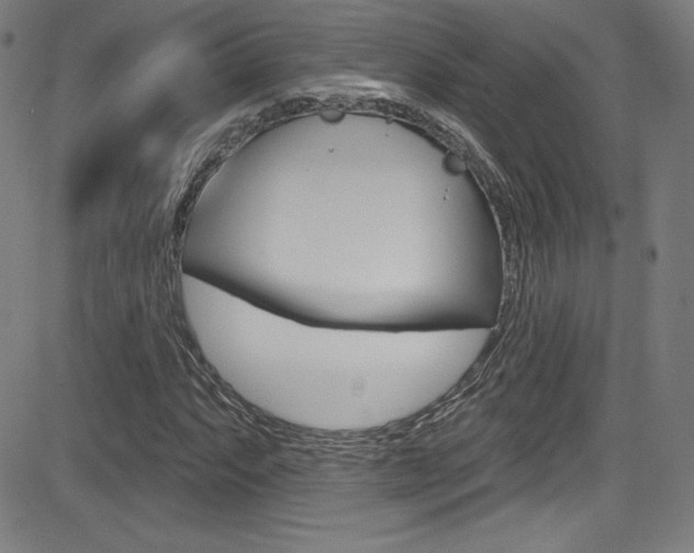X0000083071063200702021005
