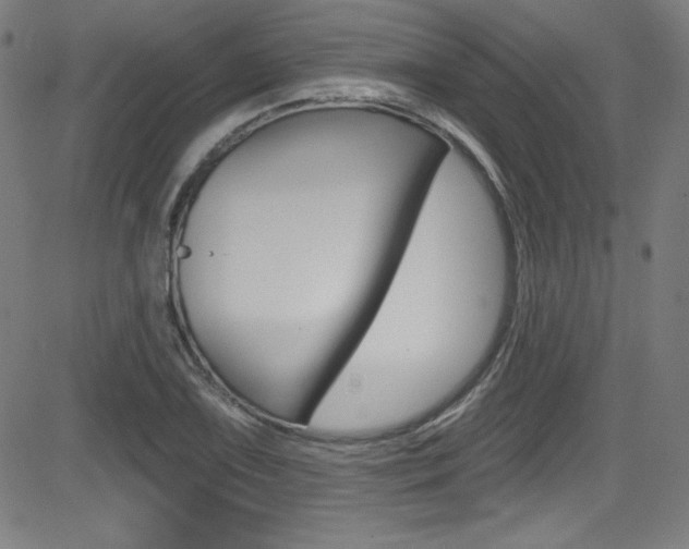X0000083071075200702021005