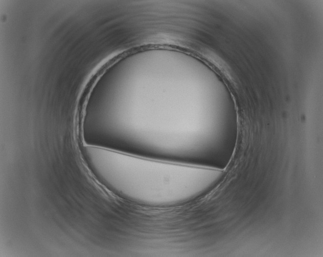 X0000083071076200702021005