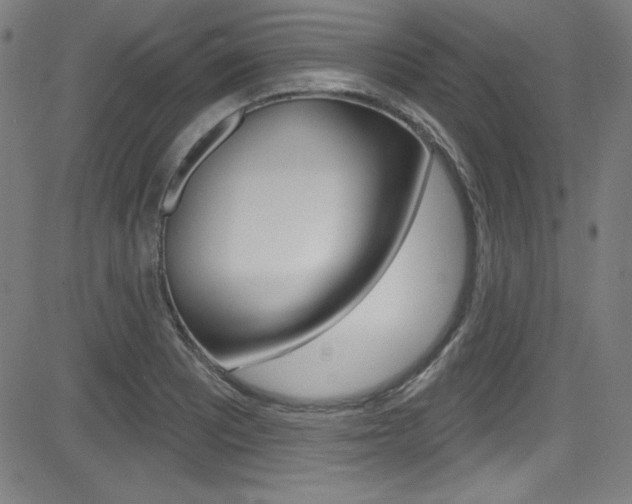 X0000083071081200702021005