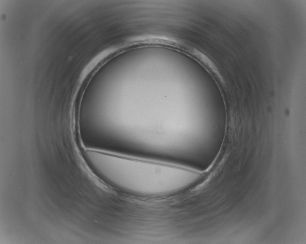 X0000083071082200702021005