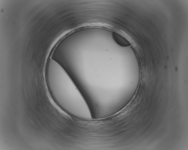 X0000083071084200702021005
