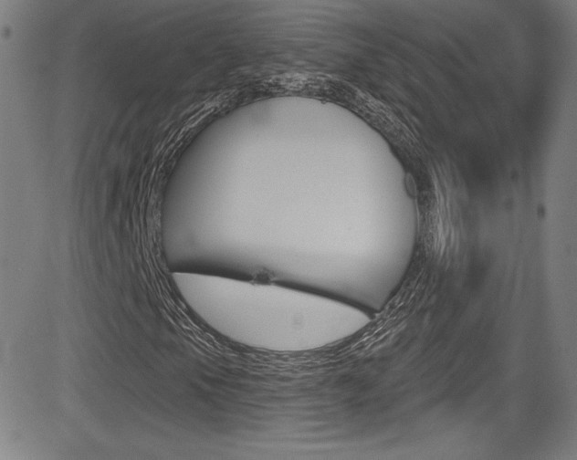 X0000083071105200702021004
