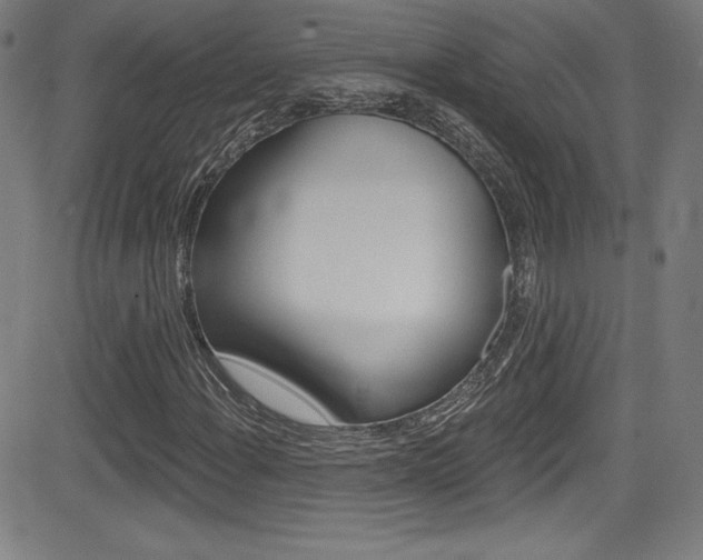 X0000083071108200702021004