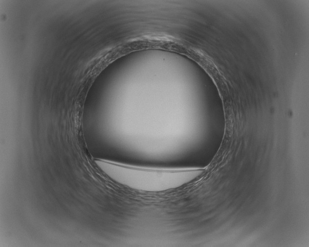 X0000083071110200702021004