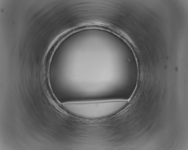 X0000083071116200702021004
