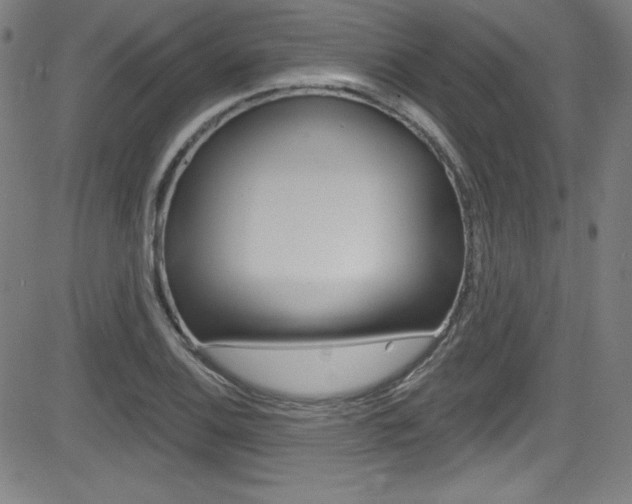 X0000083071124200702021004