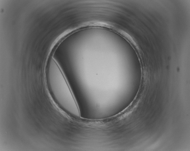 X0000083071133200702021004