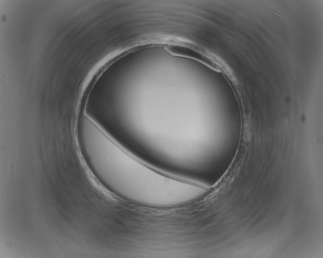 X0000083071136200702021004
