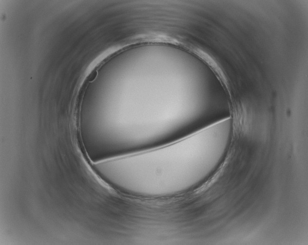 X0000083071141200702021004