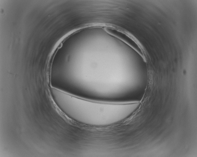 X0000083071148200702021004