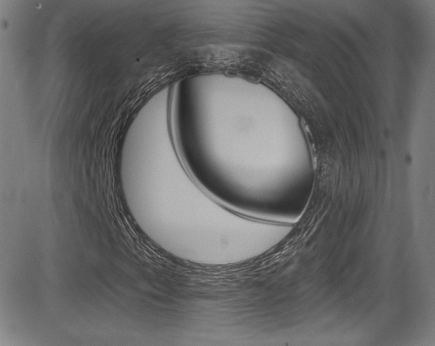 X0000083071153200702021004