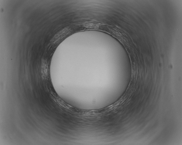 X0000083071154200702021003