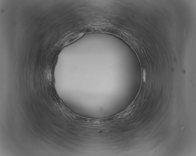 X0000083071155200702021003