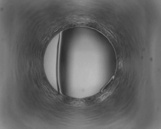 X0000083071156200702021003