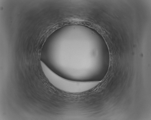 X0000083071157200702021003