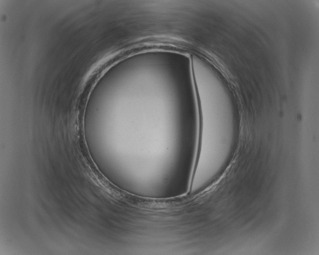 X0000083071164200702021003