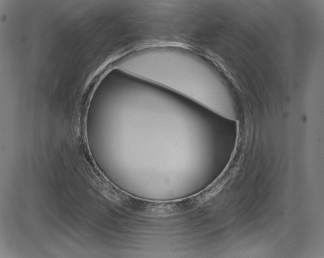 X0000083071165200702021003