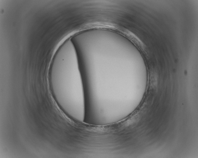 X0000083071182200702021003