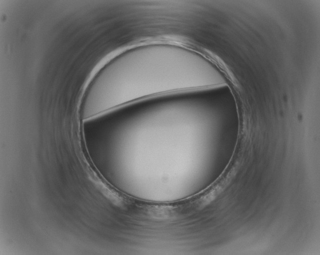 X0000083071184200702021003