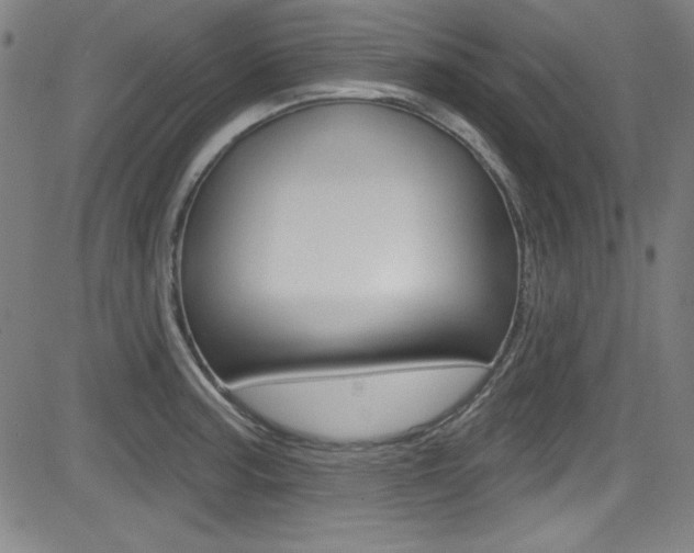 X0000083071187200702021003
