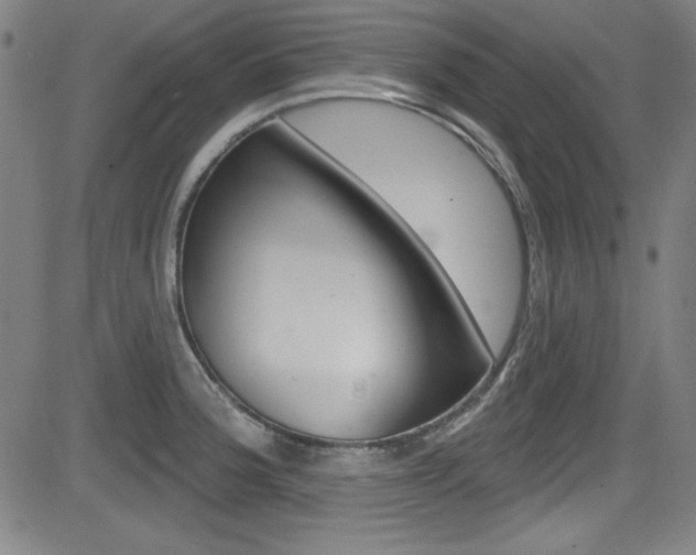 X0000083071188200702021003