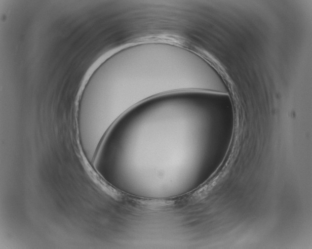 X0000083071200200702021003