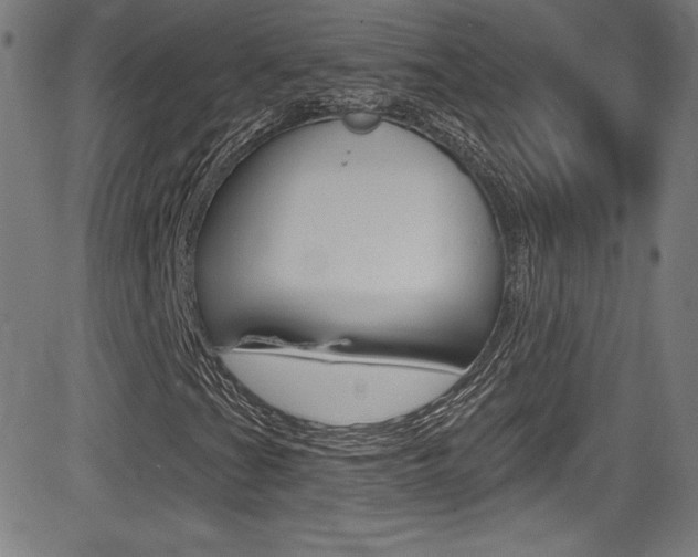 X0000083071201200702021002