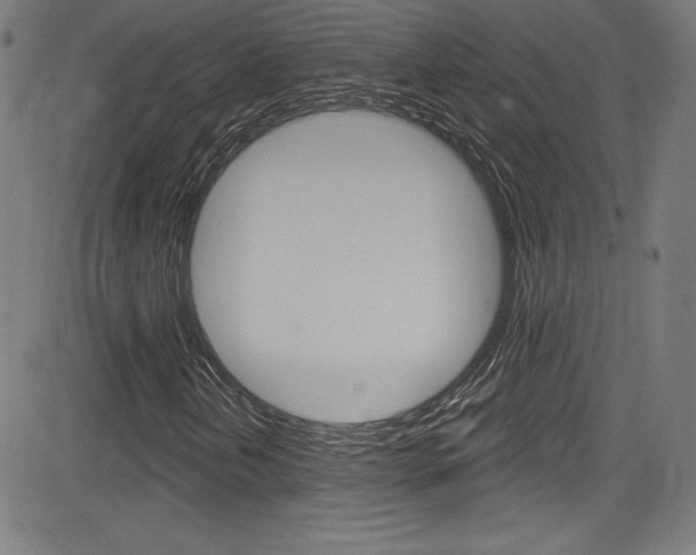 X0000083071202200702021002