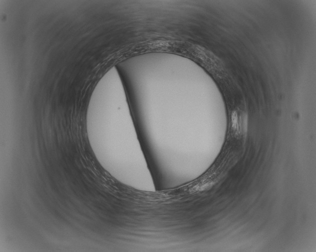 X0000083071203200702021002