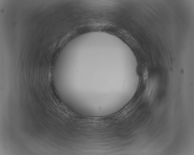 X0000083071204200702021002