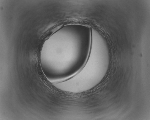 X0000083071206200702021002