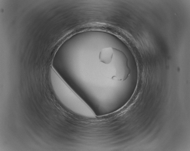 X0000083071209200702021002