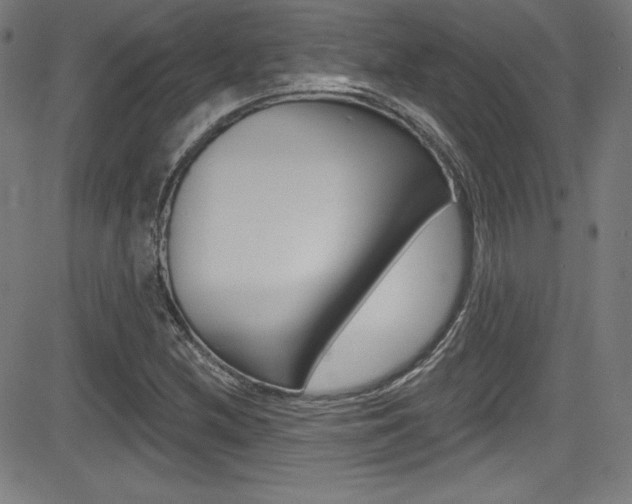 X0000083071212200702021002