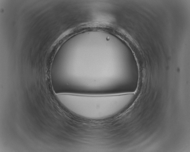 X0000083071213200702021002