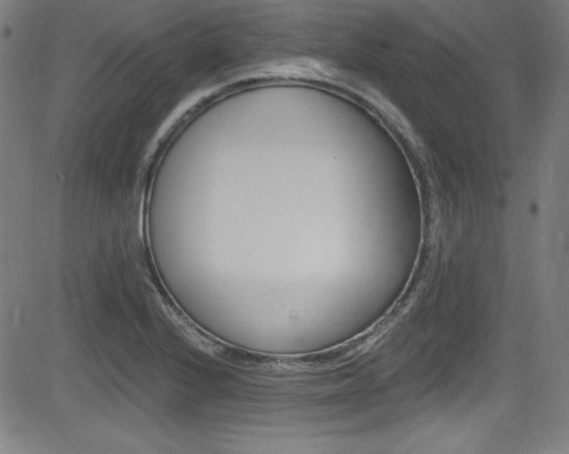 X0000083071224200702021002