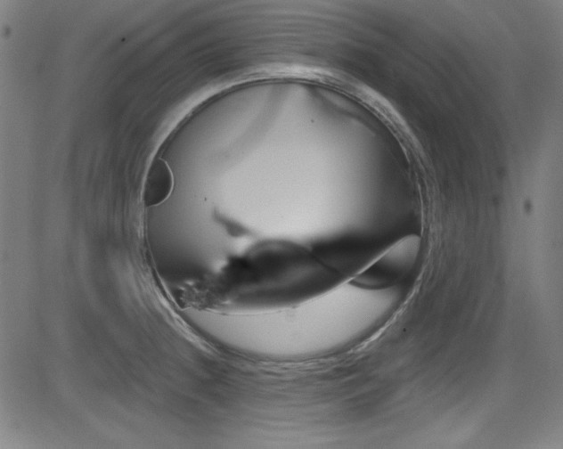X0000083071236200702021003