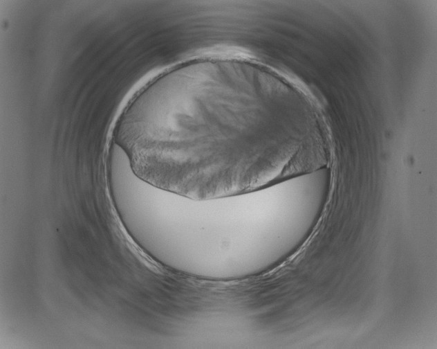 X0000083071248200702021003