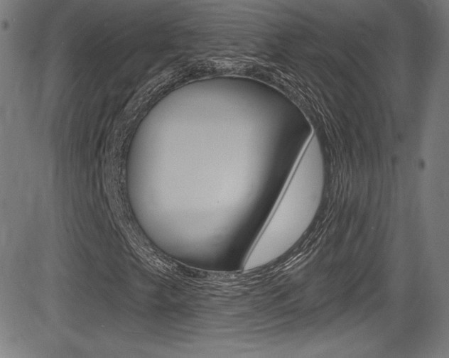 X0000083071249200702021002